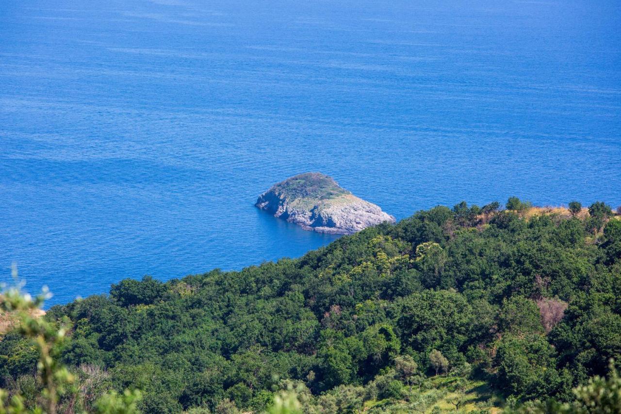 Villa Fedora Sea&Stars Massa Lubrense Dış mekan fotoğraf