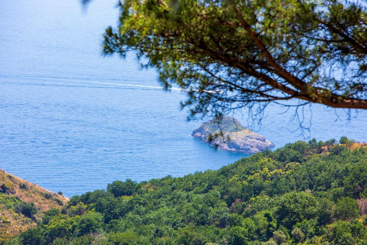 Villa Fedora Sea&Stars Massa Lubrense Dış mekan fotoğraf