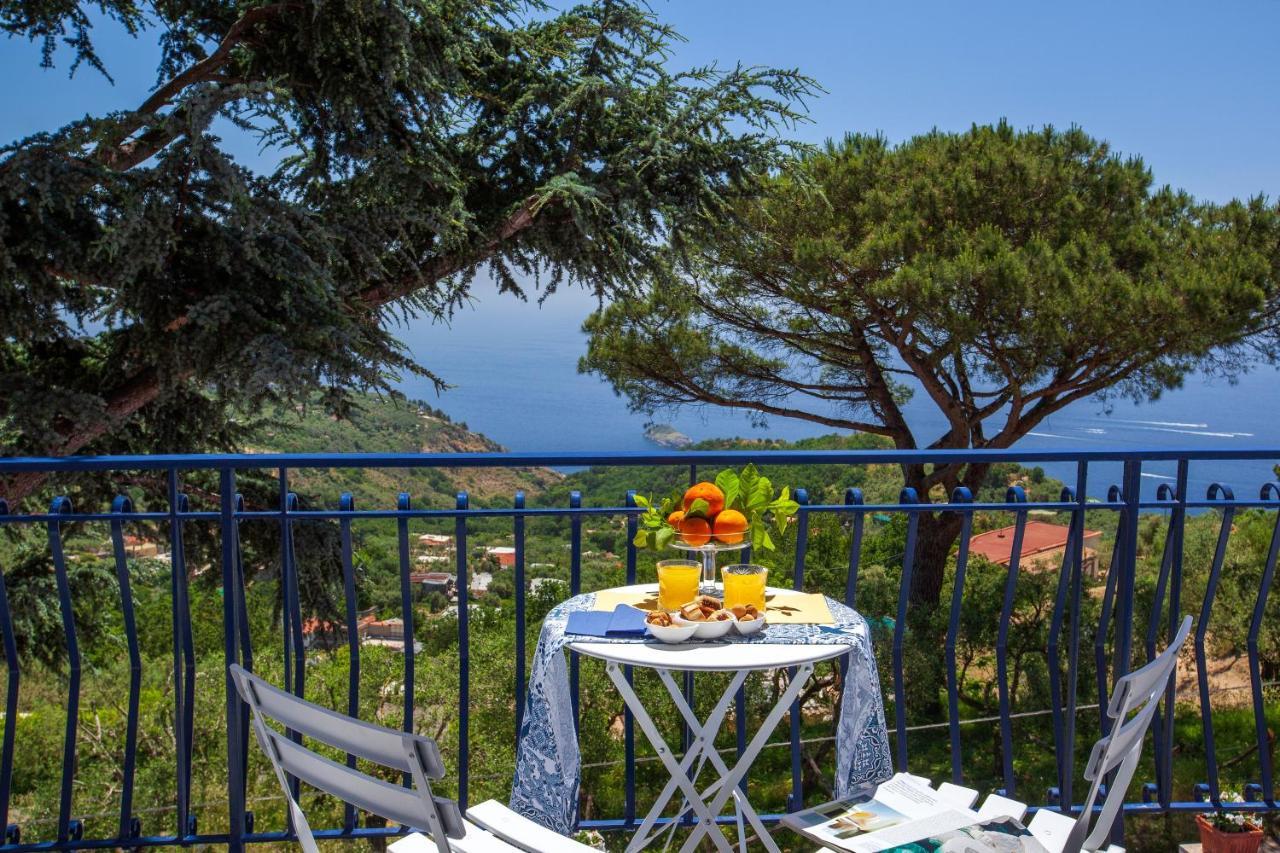Villa Fedora Sea&Stars Massa Lubrense Dış mekan fotoğraf